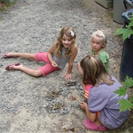 Budding Naturalists
